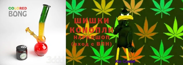 ПСИЛОЦИБИНОВЫЕ ГРИБЫ Абдулино