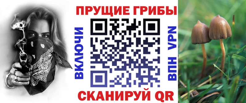 Галлюциногенные грибы Cubensis  наркота  блэк спрут онион  Копейск 